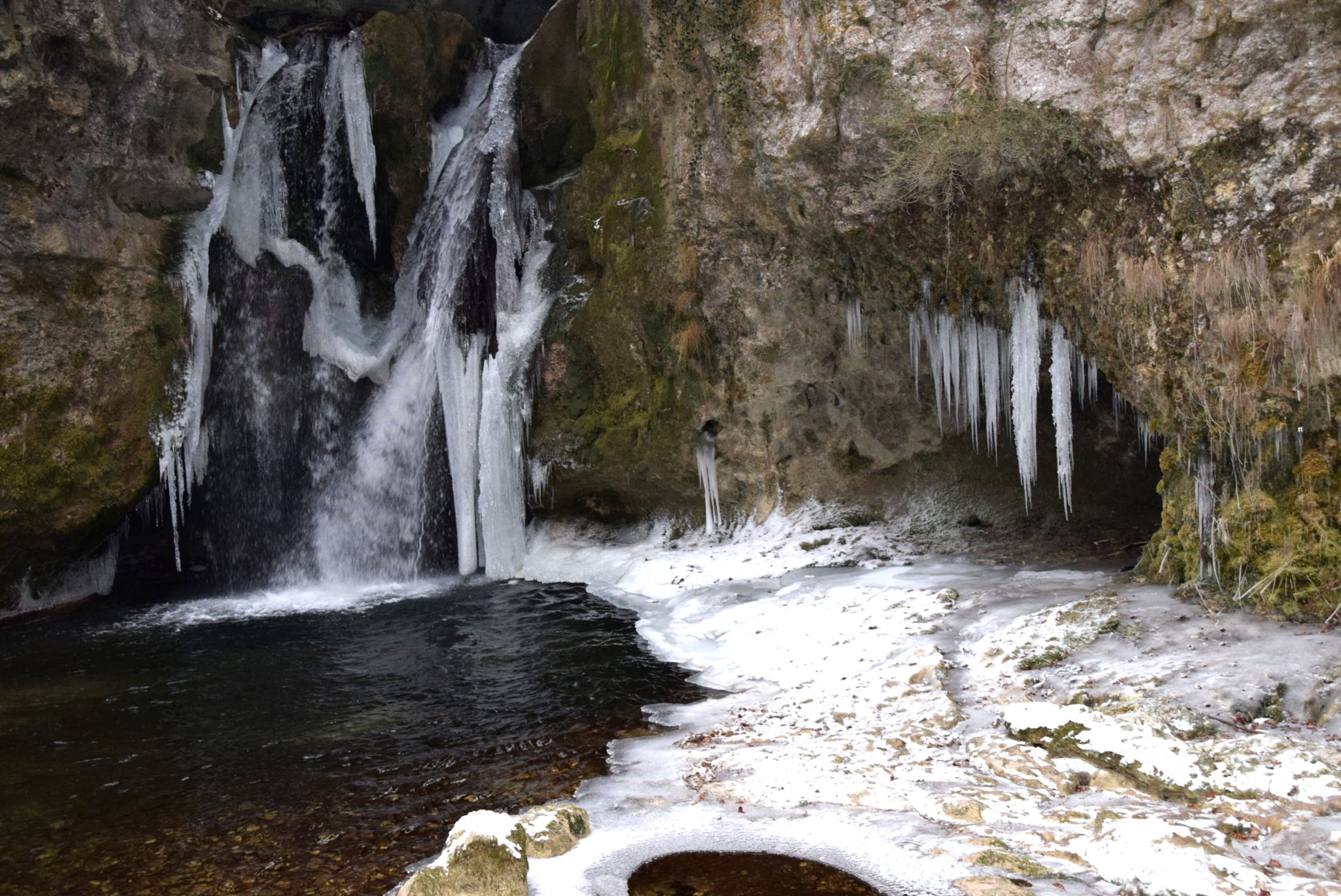 Tine de Conflan January 2017